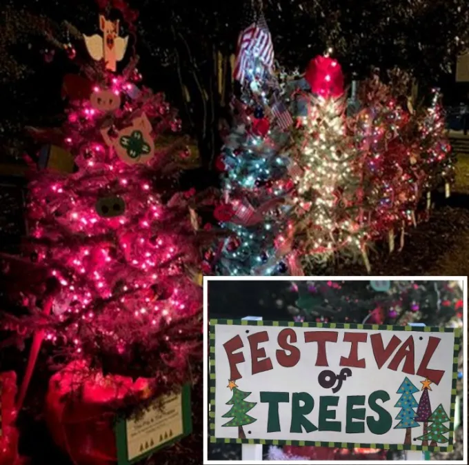 Festival Of Trees